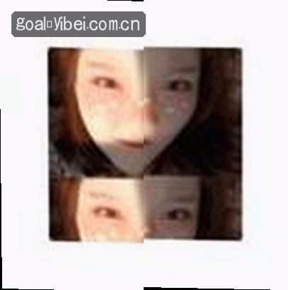 张公子