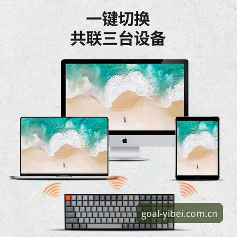 易倍体育最新版本下载全面评测：从入门到精通的完整指南